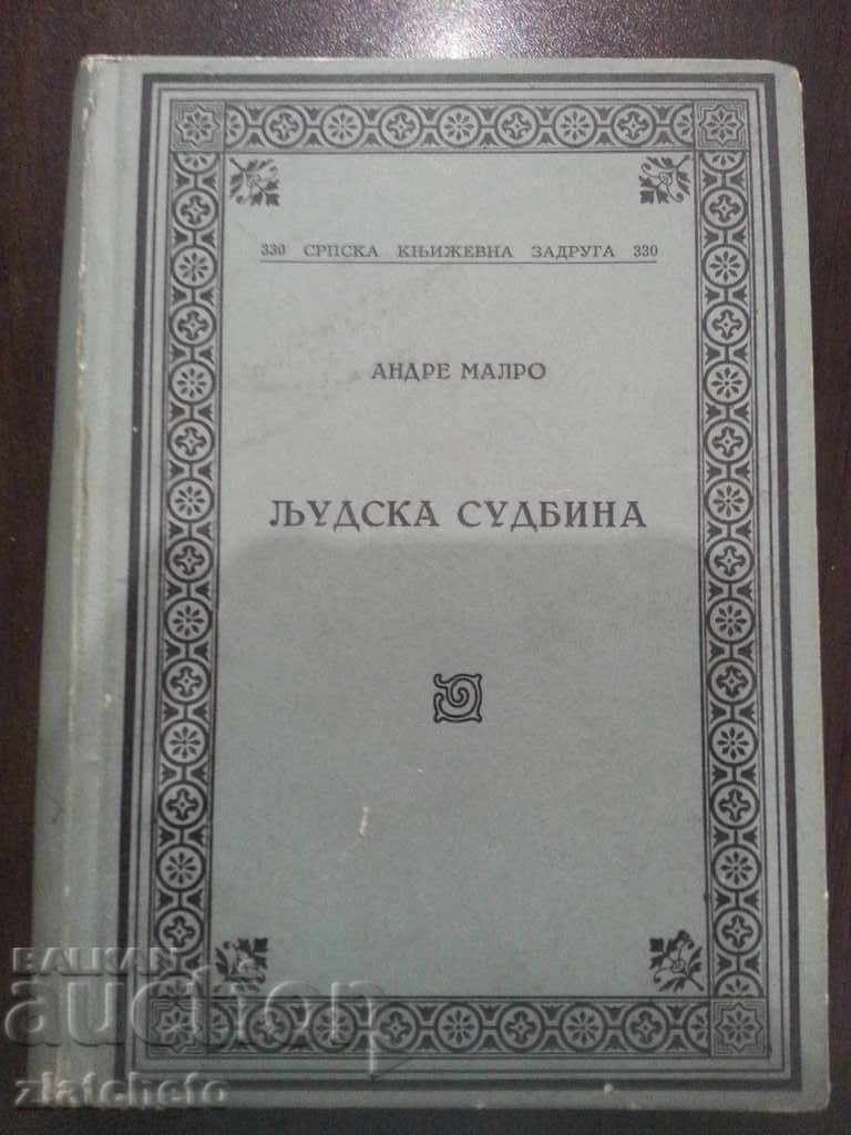 Book of Serbian from 1954