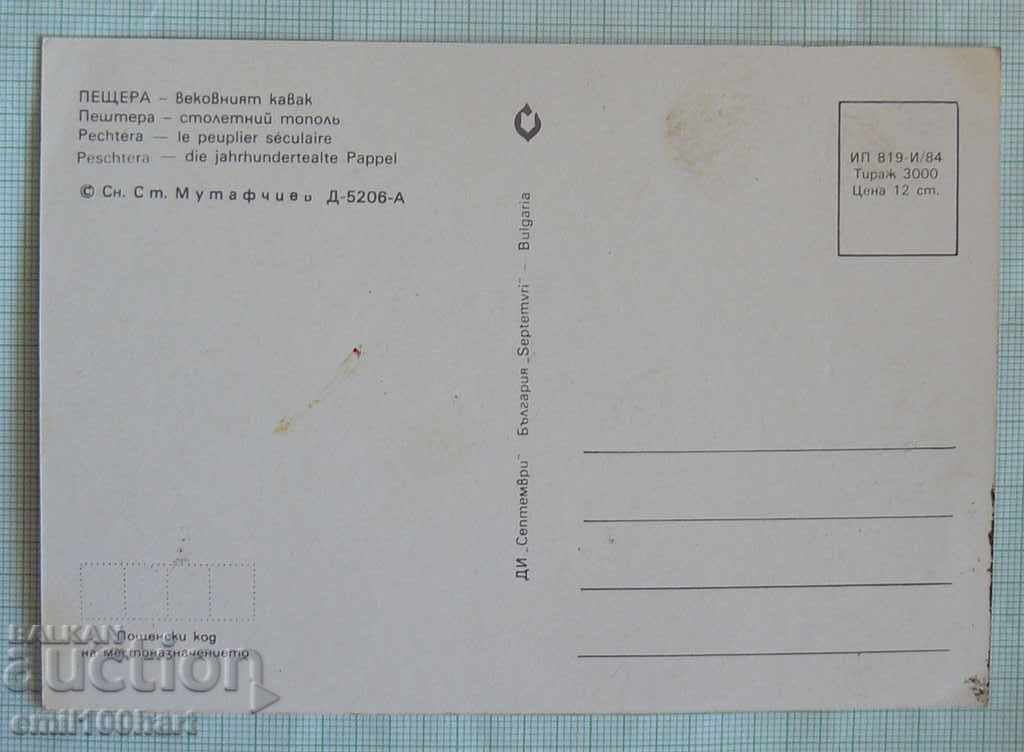 Τούρτα - Το σπήλαιο της εποχής με τιμή 0.50 BGN | € 0.26 Τούρτα - Το σπήλαιο της εποχής με τιμή 0.50 BGN | € 0.26