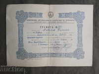 Diploma DOSO - 50 de metri Breast - 1 loc - Velingrad