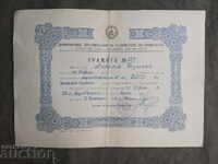 DOSO Diploma - 50 μέτρα στήθος - 1 θέση - Velingrad