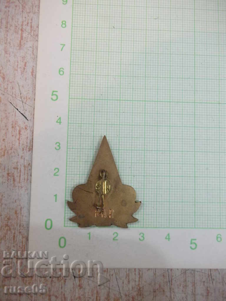 Insigna Olimpica Olimpica Romana cu preț 5.00 BGN | € 2.56 Insigna Olimpica Olimpica Romana cu preț 5.00 BGN | € 2.56