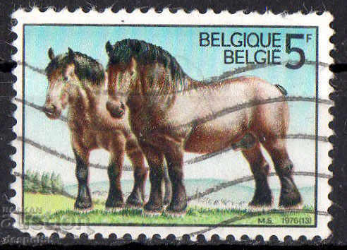 1976. Βέλγιο. Άλογα.