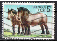 1976. Belgium. Horses.