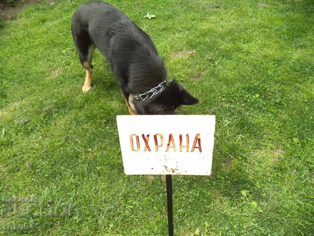 Аукцион ОХРАНА - СТАРА НЕ ЕМАЙЛИРАНА ТАБЕЛА НА КОЛЧЕ Аукцион ОХРАНА - СТАРА НЕ ЕМАЙЛИРАНА ТАБЕЛА НА КОЛЧЕ