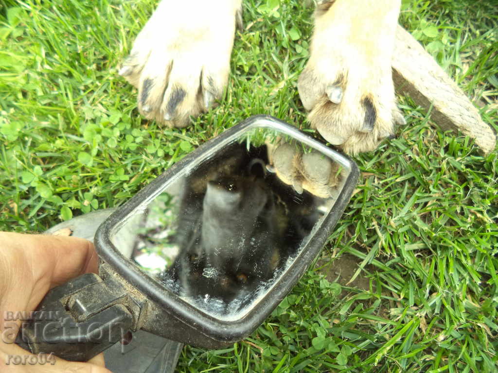 MIRROR with price 13.00 BGN | € 6.65 MIRROR with price 13.00 BGN | € 6.65