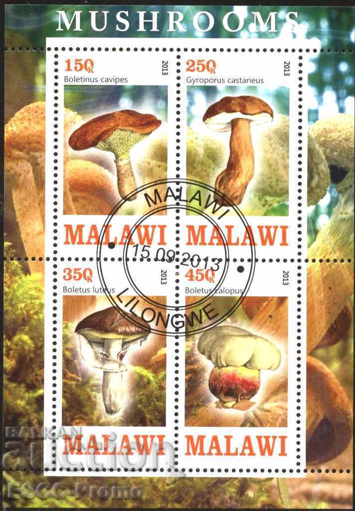 Blocked Flora Mushroom 2013 from Malawi