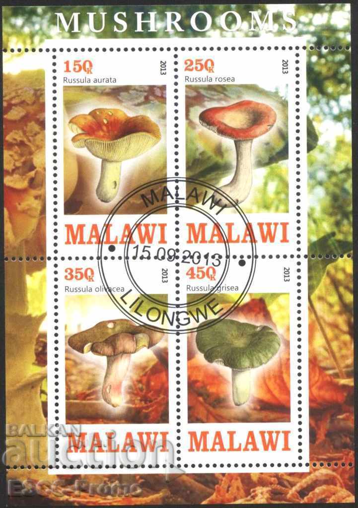 Αποκλεισμένο μανιτάρι χλωρίδας 2013 από το Μαλάουι