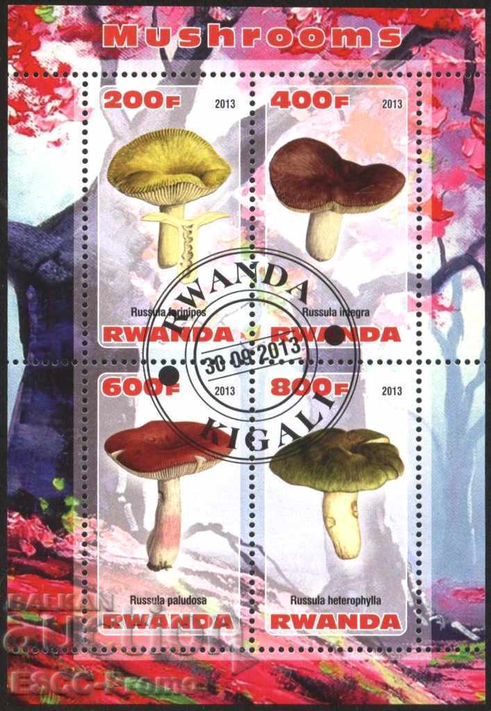 Blubber Flora Mushroom 2013 from Rwanda