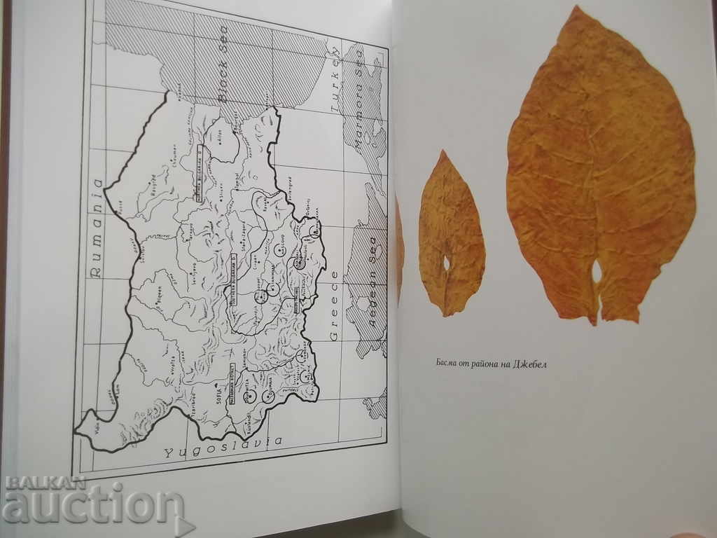 Delivery of Tobacco in Bulgaria - Koycho Belchev 2006 Delivery of Tobacco in Bulgaria - Koycho Belchev 2006