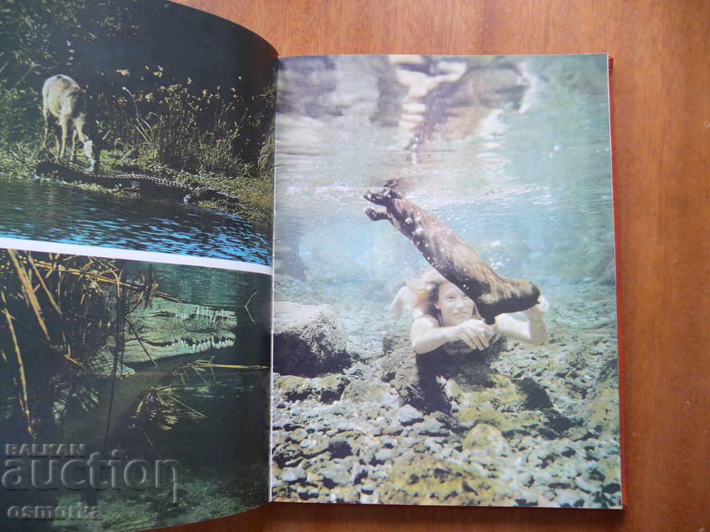 New Wildlife Adventures - Bernhard Gimek with price 8.00 BGN | € 4.09 New Wildlife Adventures - Bernhard Gimek with price 8.00 BGN | € 4.09