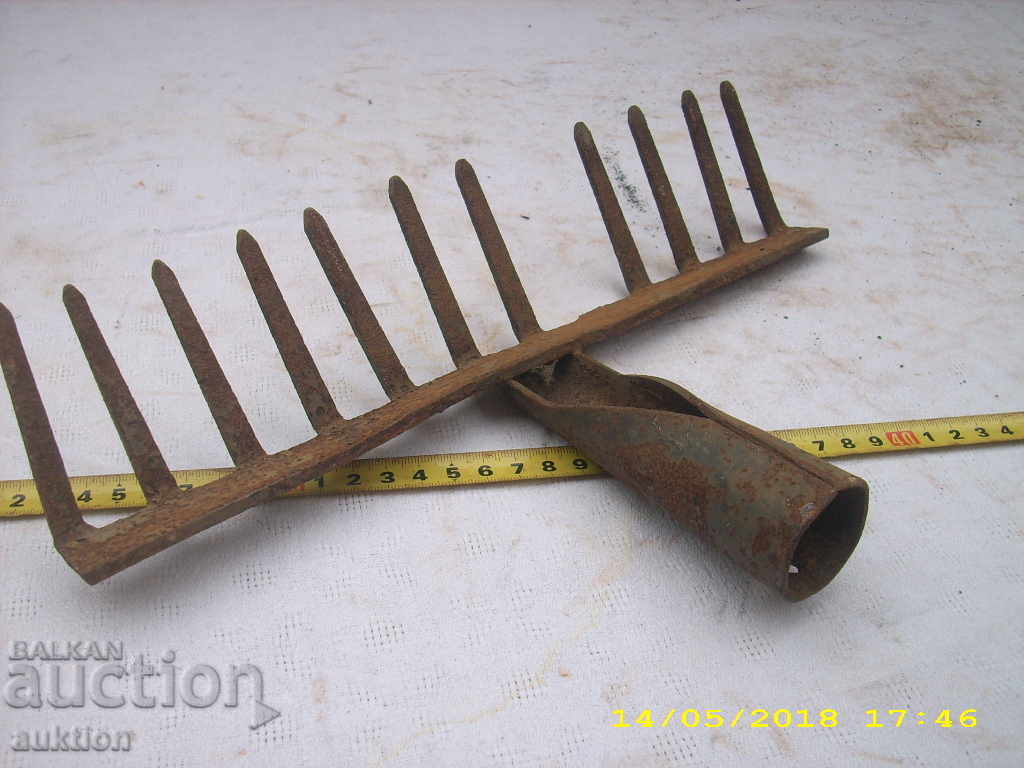 Auction STABLE CABBAGE CLEANING CURVE Auction STABLE CABBAGE CLEANING CURVE