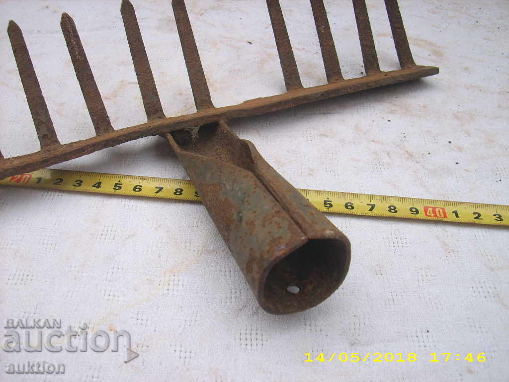 Delivery of STABLE CABBAGE CLEANING CURVE Delivery of STABLE CABBAGE CLEANING CURVE