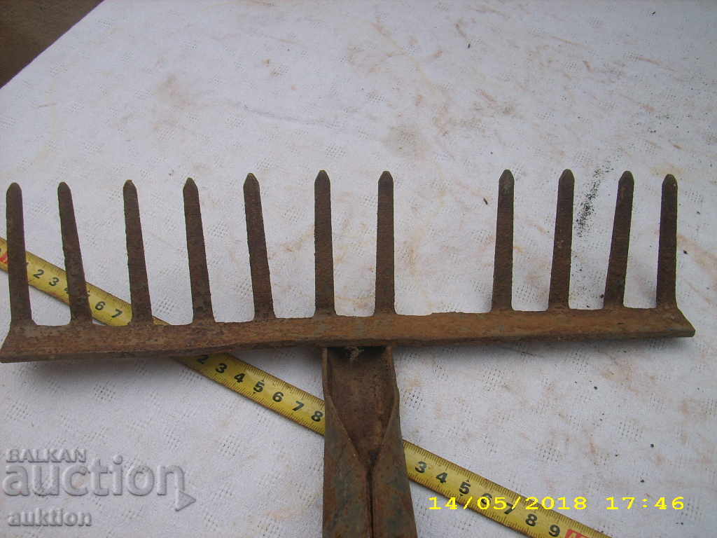 STABLE CABBAGE CLEANING CURVE - 5 STABLE CABBAGE CLEANING CURVE - 5