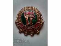 Pin badge of gymnastics work Bronze enamel gilded