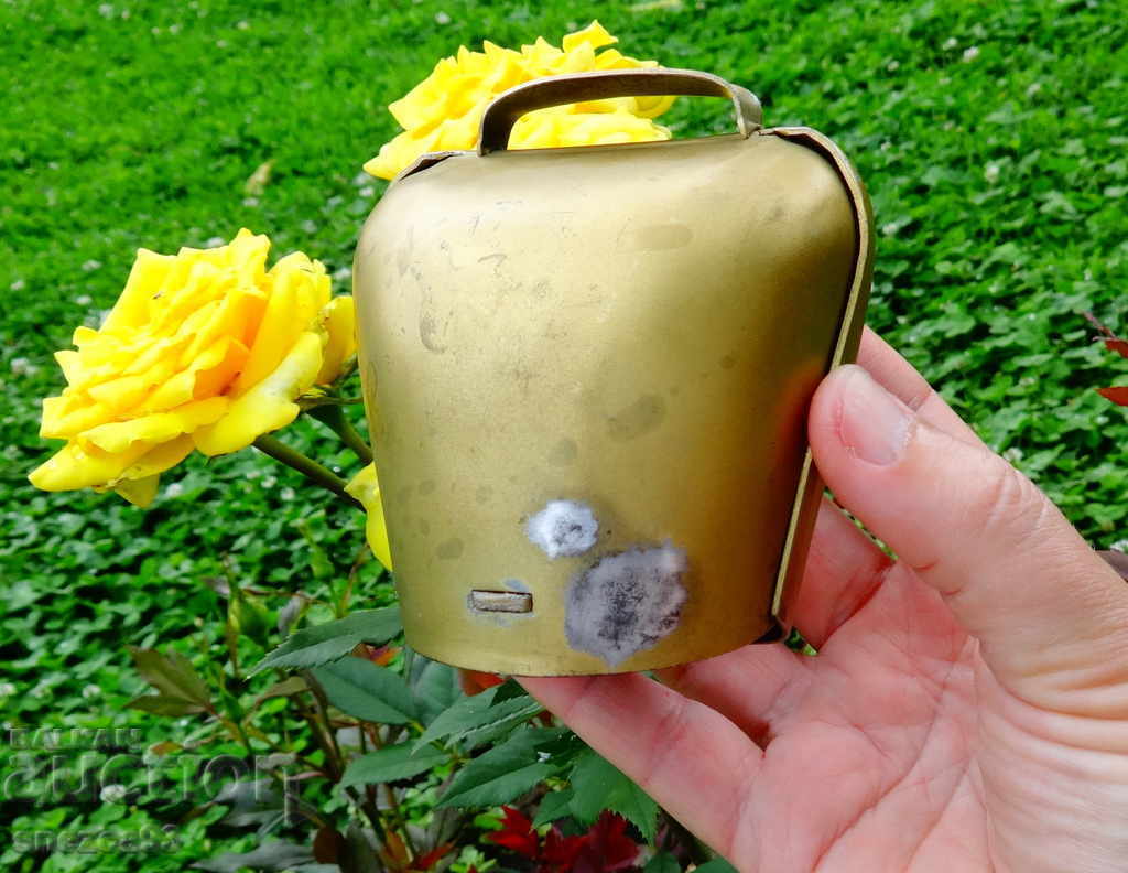 Delivery of Swiss Chan, Cotton Piggy Bank Delivery of Swiss Chan, Cotton Piggy Bank