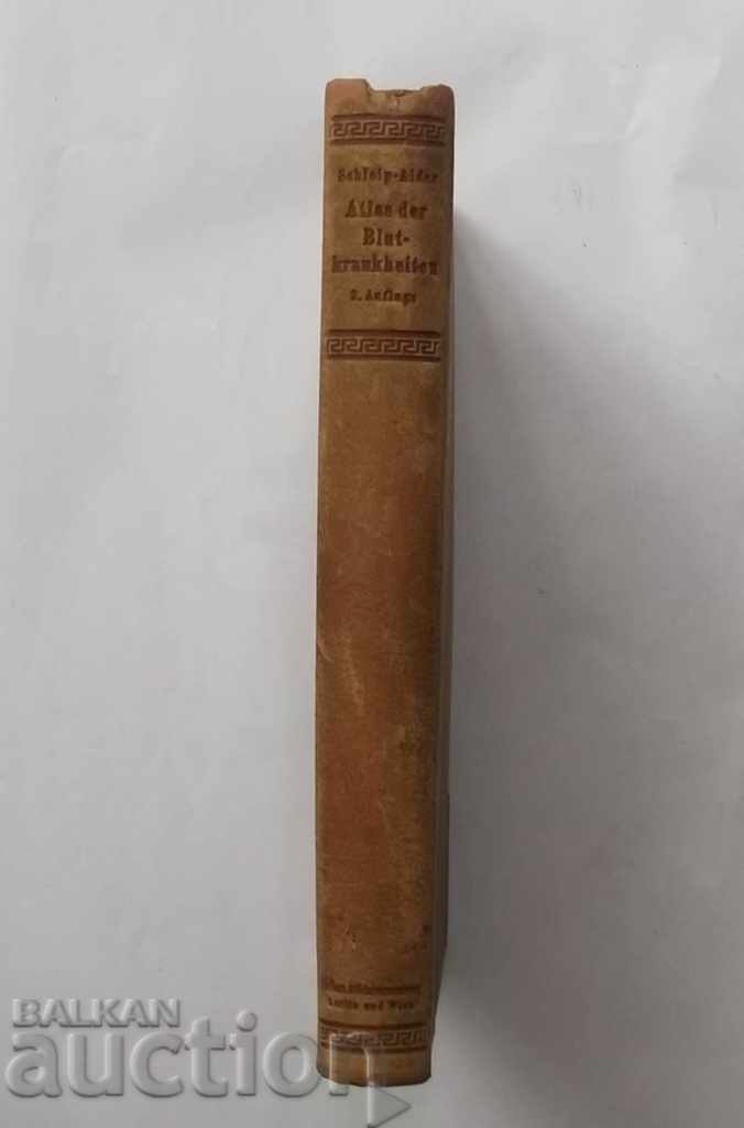 Atlas der Blutkrankheiten - Karl Schleip, Albert Alder 1928 - 5