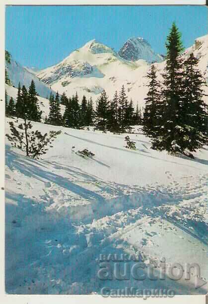 Κάρτα Bulgaria Rila Peak Maliovitsa 4**