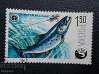Poland 1979 - "100 years of sport fishing", 1.50 zlotys