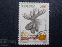 Polonia 1981 - "Vânătoare - Los", 2 zloți