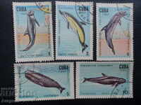 лот Куба 1984 г. - "Китове и делфини", 1, 2, 5, 6 и 10 сент.