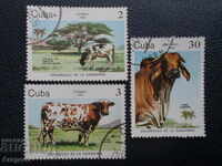 Lot Cuba 1984 - "Cattle", 2, 3 and 30 Sentavos