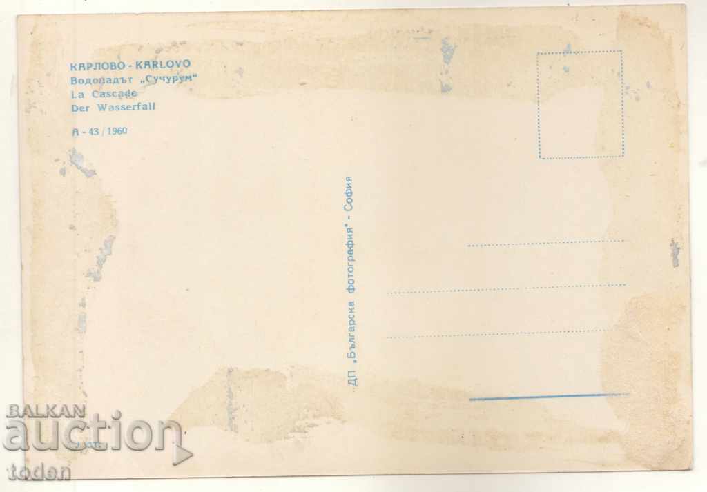 ПОЩЕНСКА КАРТИЧКА-КАРЛОВО-1960-СУЧУРУМ с цена € 0.05 | 0.10 лв.