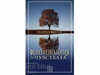 Phenomenology of Feelings