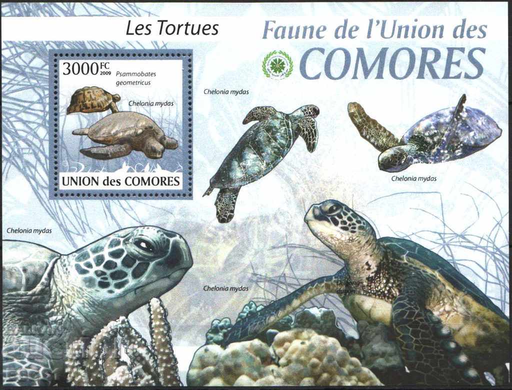 Curățați țestoasele de faună 2009 din Insulele Comore