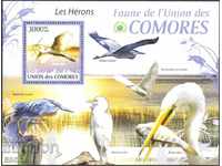 Чист блок Фауна Птици Чапли 2009 от  Коморски острови