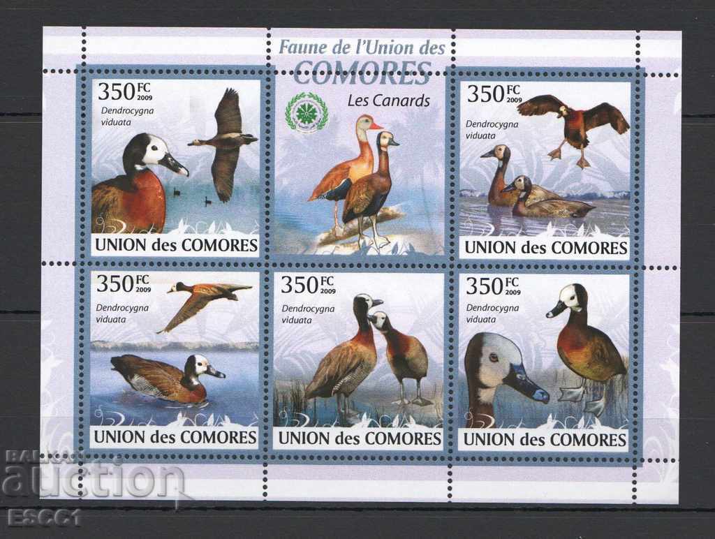 Чист блок Фауна Птици патици 2009 от  Коморски острови