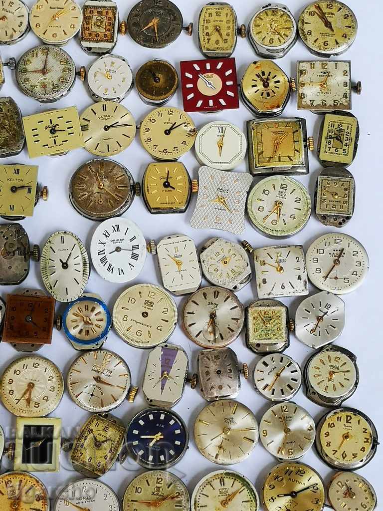 Auction Swiss ladybugs for ladies watches Auction Swiss ladybugs for ladies watches