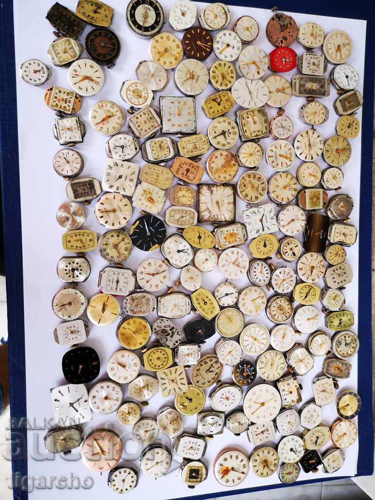 Delivery of Swiss ladybugs for ladies watches Delivery of Swiss ladybugs for ladies watches