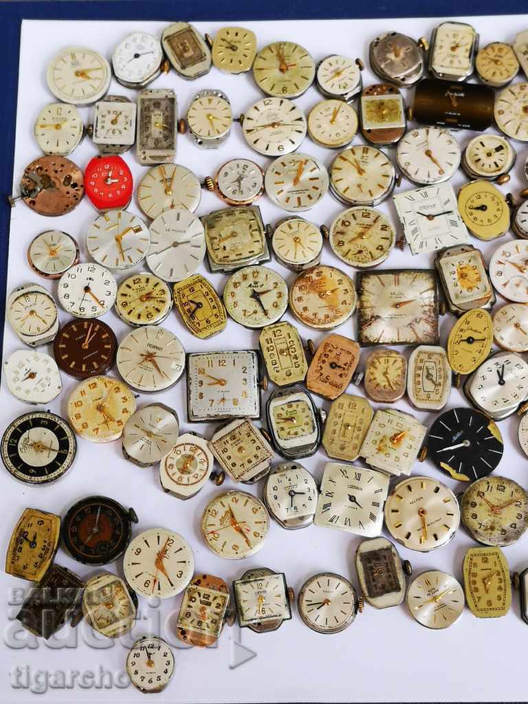 Swiss ladybugs for ladies watches - 7 Swiss ladybugs for ladies watches - 7