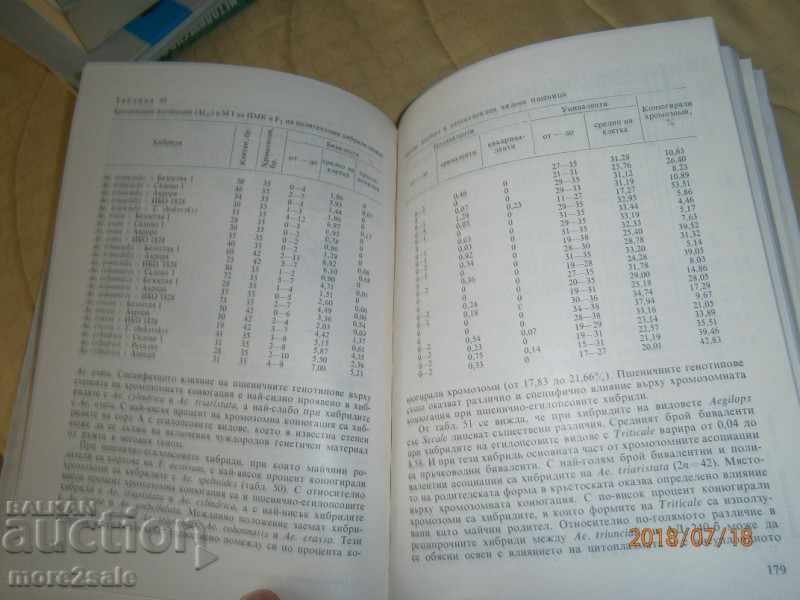 BOGDAN BOCCHEV - CYTOGENIC STUDY OF WHEAT - 1993 YEAR - 6 BOGDAN BOCCHEV - CYTOGENIC STUDY OF WHEAT - 1993 YEAR - 6