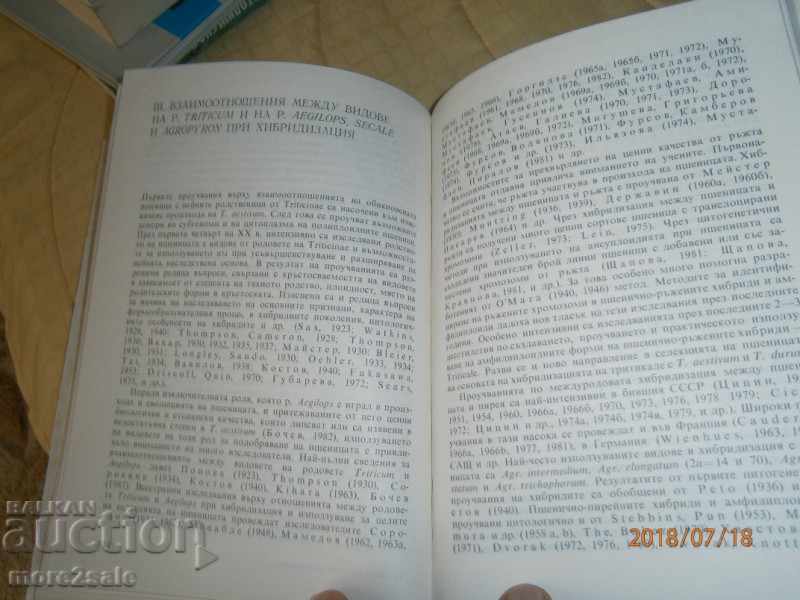 BOGDAN BOCCHEV - CYTOGENIC STUDY OF WHEAT - 1993 YEAR - 7 BOGDAN BOCCHEV - CYTOGENIC STUDY OF WHEAT - 1993 YEAR - 7