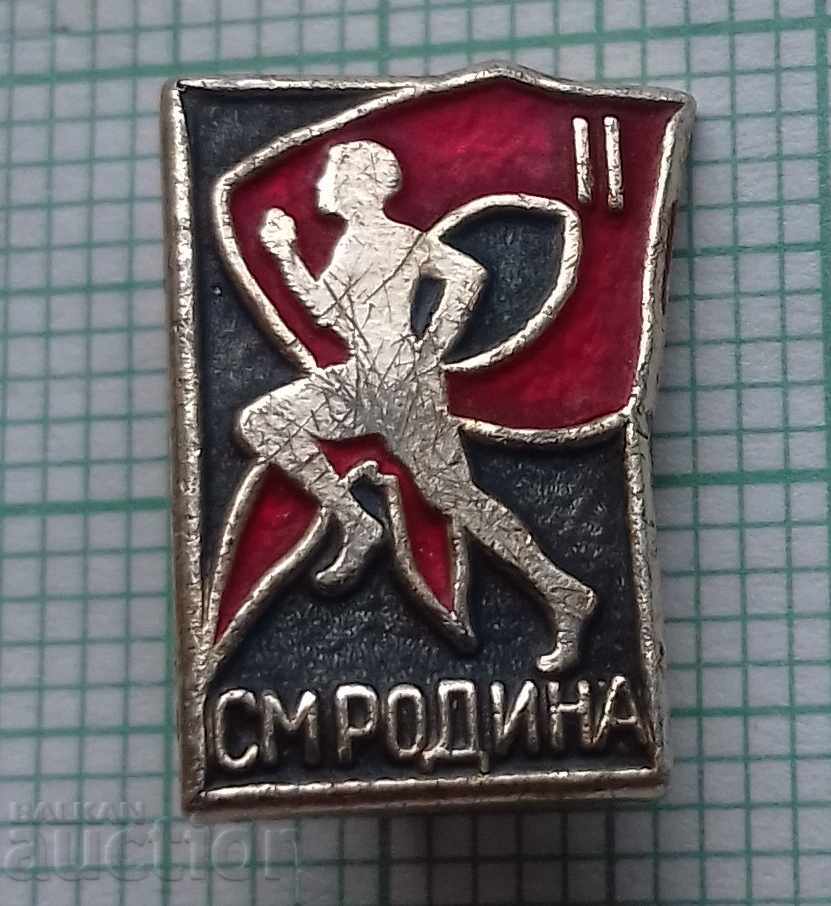 3808 Badge - CM Rodina 2nd degree