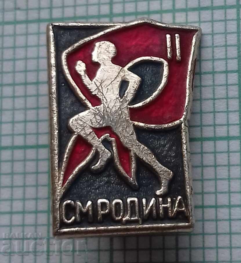 3808 Badges - SM Rodina 2nd Degree