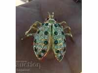 Brooch Beetle Insect