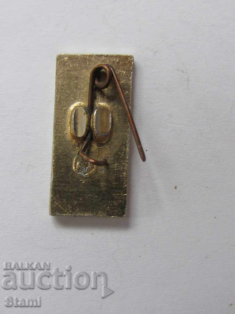 Auction Badge: LED Auction Badge: LED