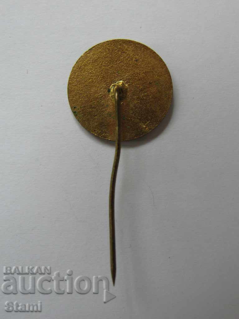 Auction Badge: Crater Nadezhda Auction Badge: Crater Nadezhda