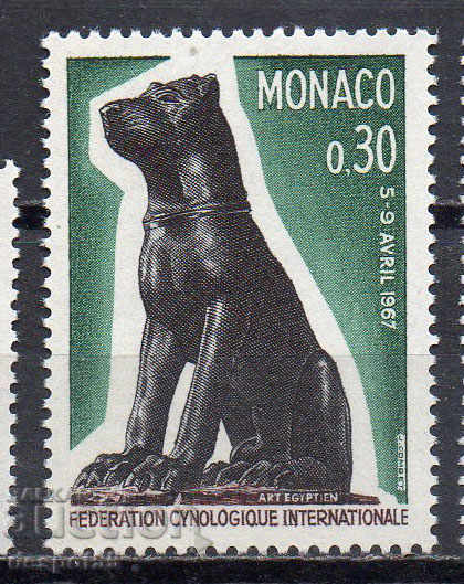 1967. Монако. Международен конгрес на киноложката федерация.