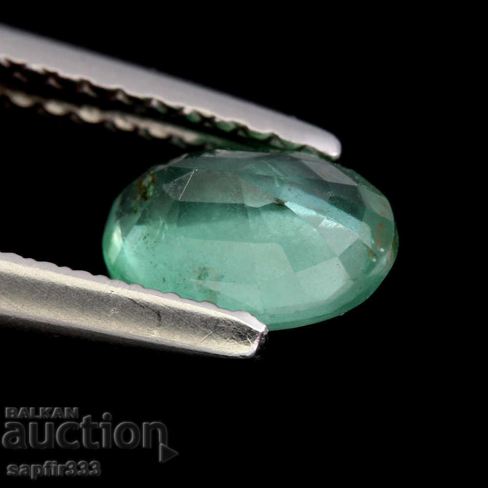 Auction NATURAL UNREATED IMAGE Auction NATURAL UNREATED IMAGE