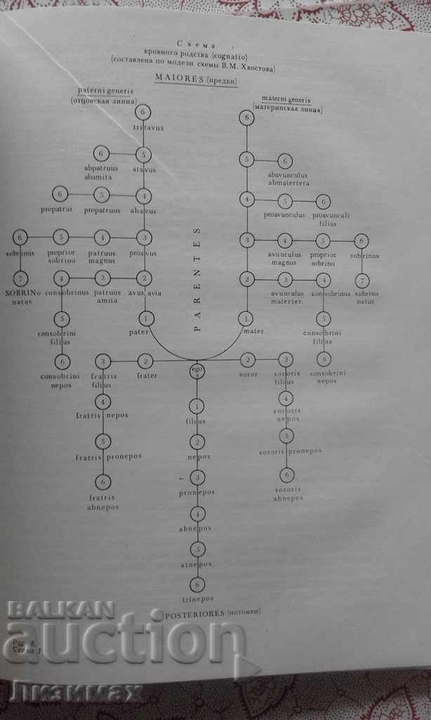 Рим первых царей. Genesis of the Roman Polis - LJ Mayak - 7 Рим первых царей. Genesis of the Roman Polis - LJ Mayak - 7