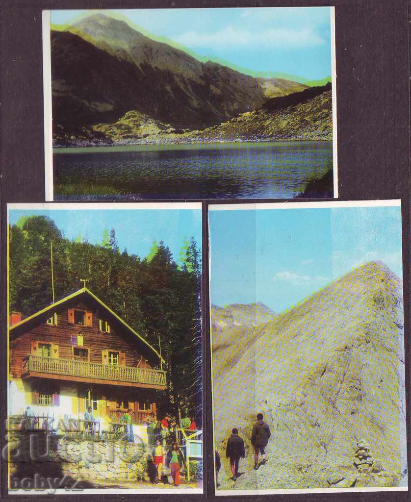 Pirin (70-105 mm.), 8 pcs., Clean with price 1.20 BGN | € 0.61 Pirin (70-105 mm.), 8 pcs., Clean with price 1.20 BGN | € 0.61