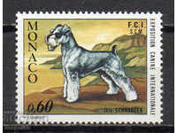 1974. Monaco. International Dog Show, Monte Carlo.