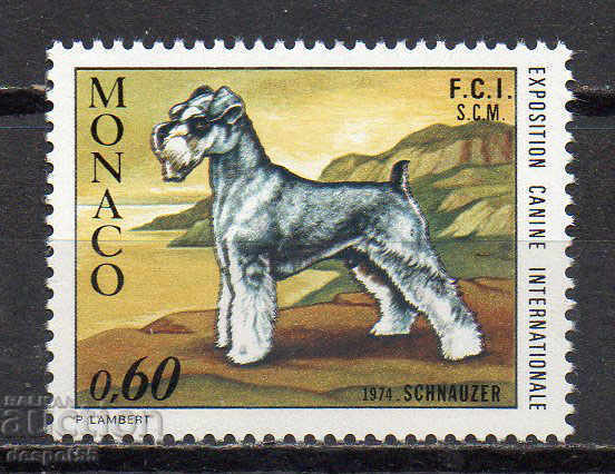 1974. Monaco. International Dog Show, Monte Carlo.