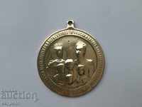 REDEMPTIONAL TARGET MEDAL 1899 DEATH OF THE MARIA LUIZA