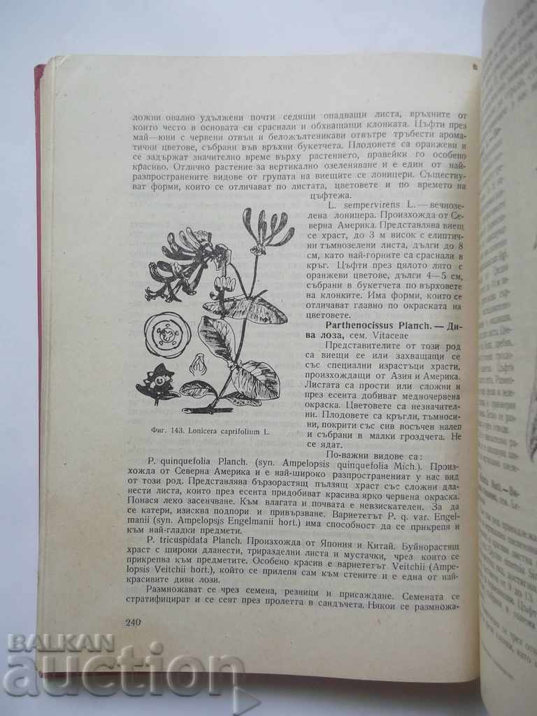 Аукцион Декоративно градинарство - Васил Ангелиев 1965 г. Аукцион Декоративно градинарство - Васил Ангелиев 1965 г.