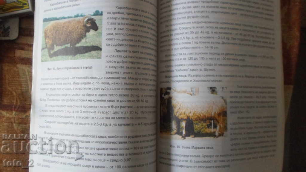 Handbook of animal husbandry/SHEEP BREEDING/ with price 17.50 BGN | € 8.95 Handbook of animal husbandry/SHEEP BREEDING/ with price 17.50 BGN | € 8.95