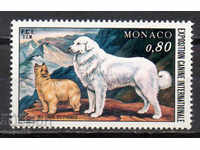1977. Monaco. Spectacolul internațional de câini - Monte Carlo.